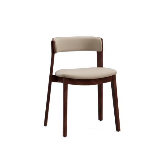 Amara Dining Chair