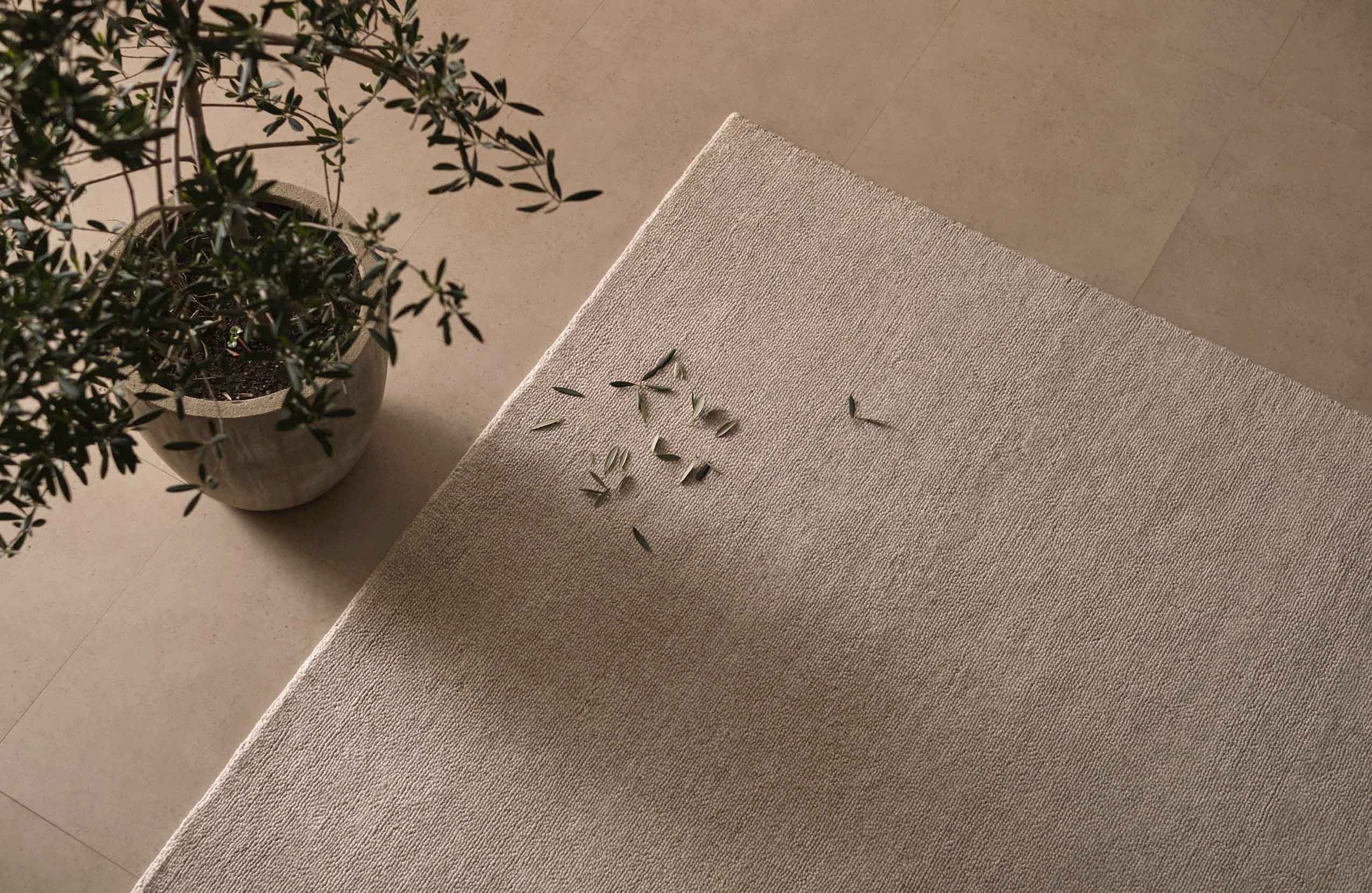 Marion Rug 260x360 King Living