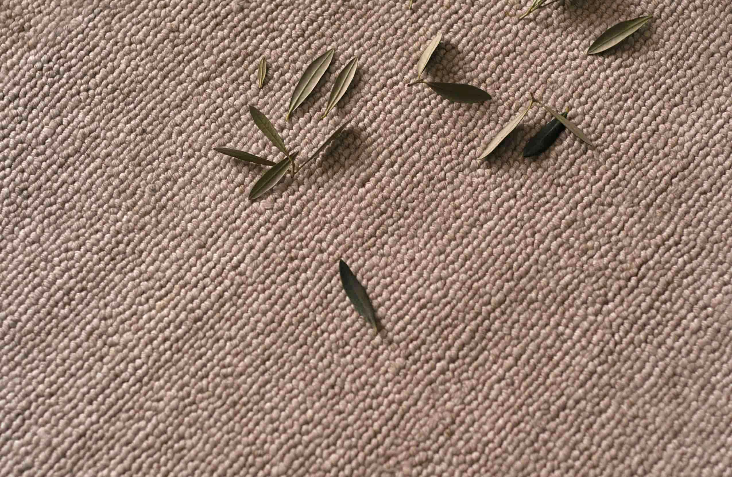 Marion Rug 260x360 King Living