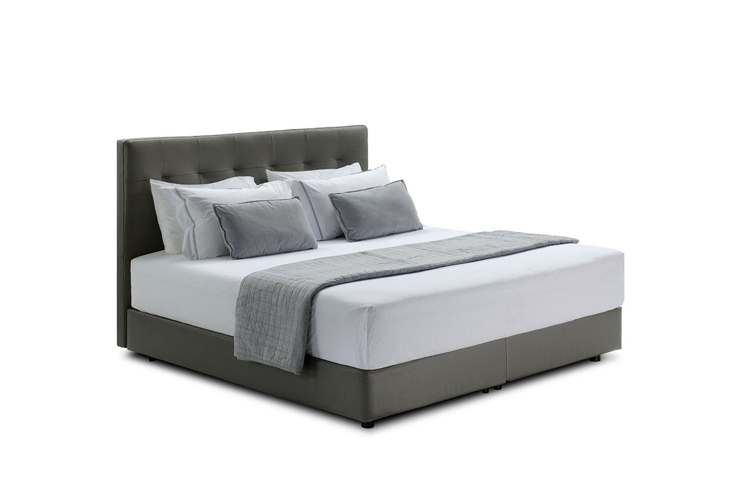 Sleep+ Contemporary Bed Queen Size Bed King Living