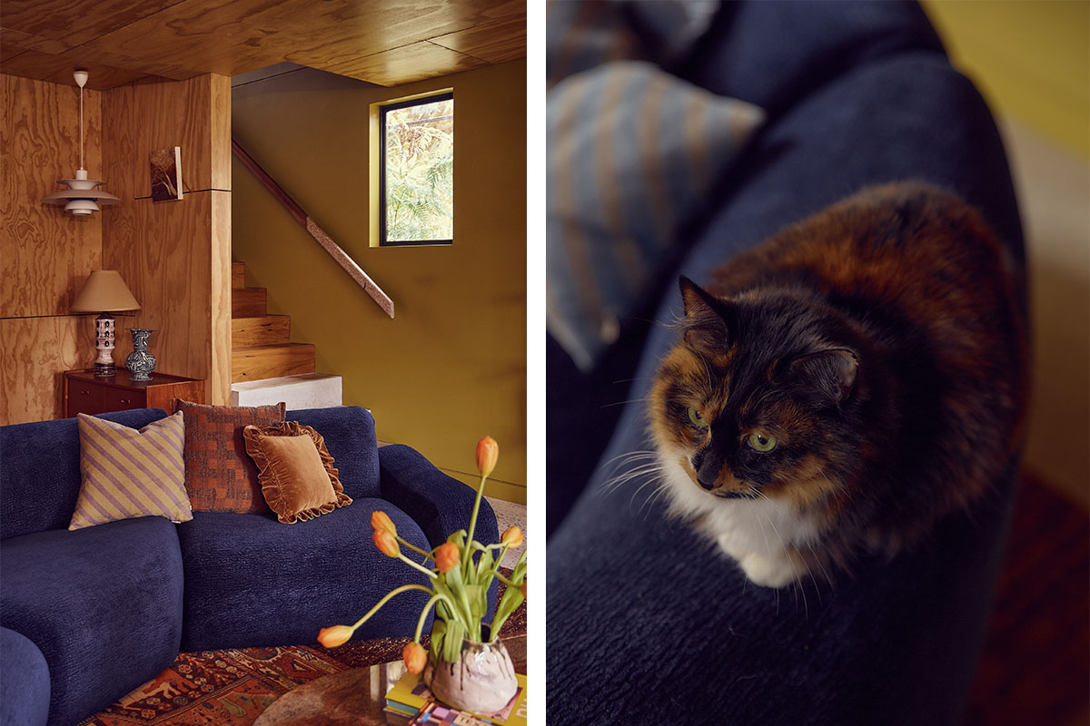 A bold blue modular sofa with deep seats in a maximalist home with a tortoise shell cat sat on it.